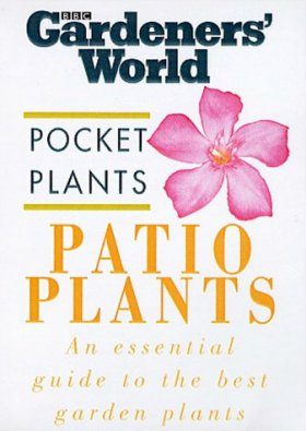 Patio Plants