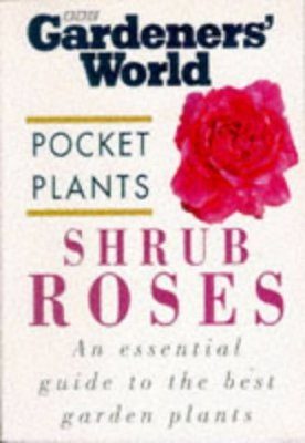 Shrub Roses