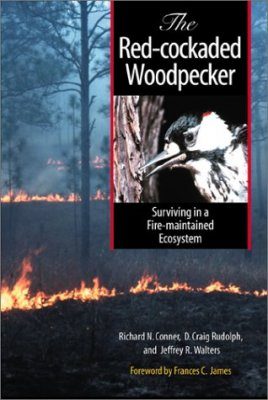 The Red-Cockaded Woodpecker
