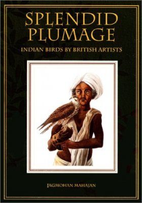 Splendid Plumage
