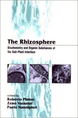 The Rhizosphere