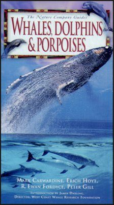 Whales, Dolphins and Porpoises