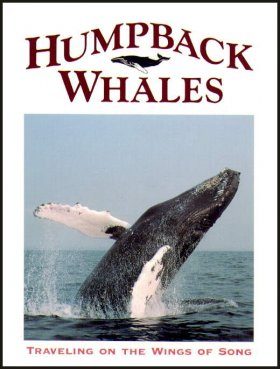 Humpback Whales
