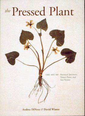 Pressed Plant: The Art of Botanical Specimens, Nature Prints and Sun Pictures