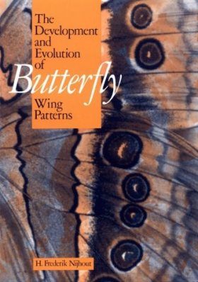 The Development and Evolution of Butterfly Wing Patterns