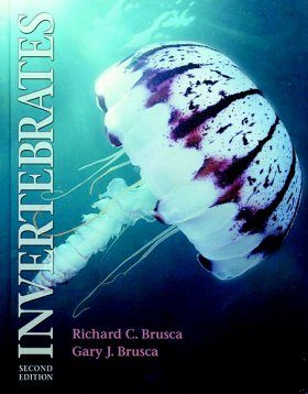 Invertebrates