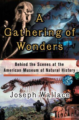 A Gathering of Wonders