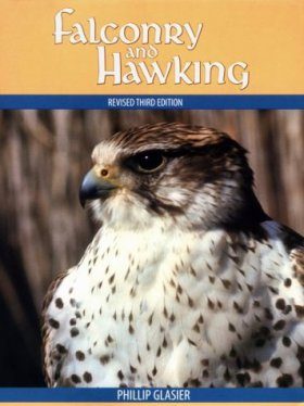 Falconry and Hawking