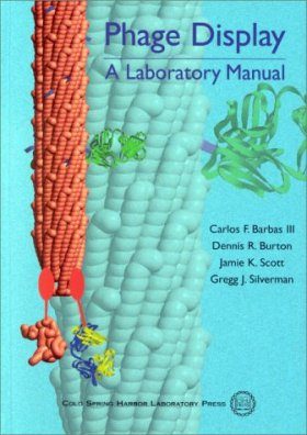 Phage Display: A Laboratory Manual