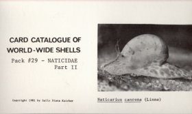 Naticidae I & II