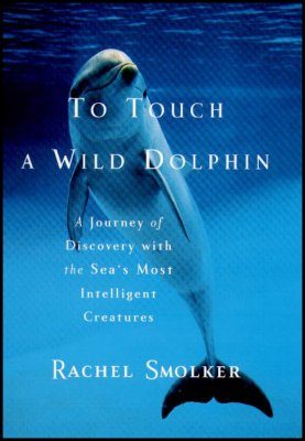 To Touch a Wild Dolphin