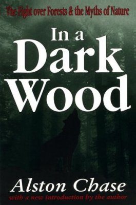 In a Dark Wood