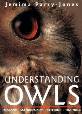 Understanding Owls