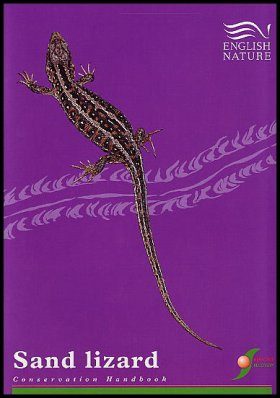 Sand Lizard Conservation Handbook