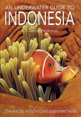 An Underwater Guide to Indonesia