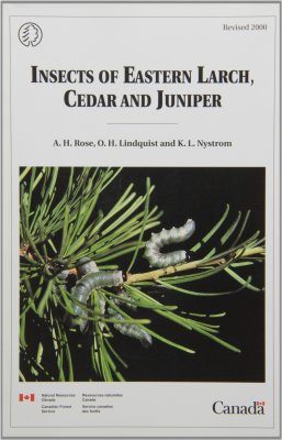 Insects of Eastern Larch, Cedar and Juniper