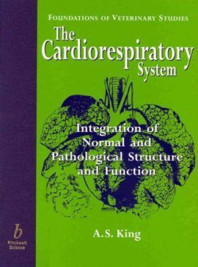 The Cardiorespiratory System