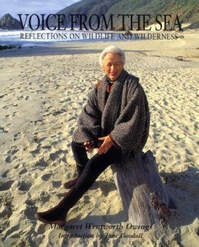 Voice from the Sea