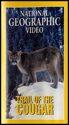 Trail of the Cougar