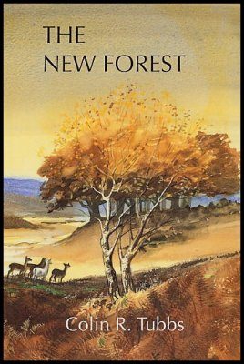The New Forest