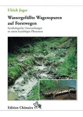 Wassergefüllte Wagenspuren auf Forstwegen