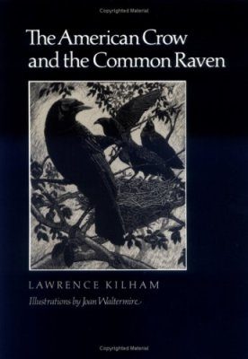 The American Crow and the Common Raven