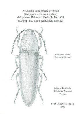 Revisione delle Specie Orientali (Giappone e Taiwan esclusi) del Genere Melanotus Eschscholtz, 1829 (Coleoptera, Elateridae, Melanotinae)