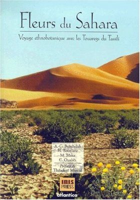 Fleurs du Sahara