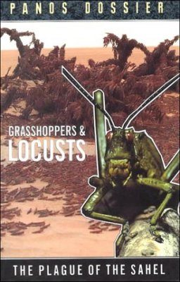 Grasshoppers and Locusts