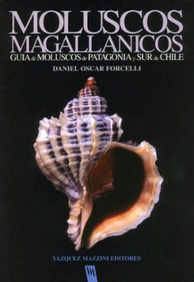 Moluscos Magallanicos