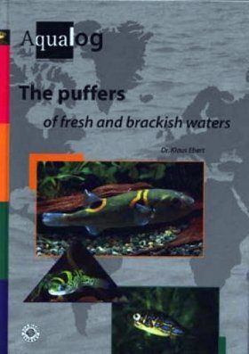 The Puffers of Fresh and Brackish Waters