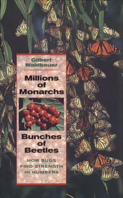 Millions of Monarchs, Bunches of Beetles