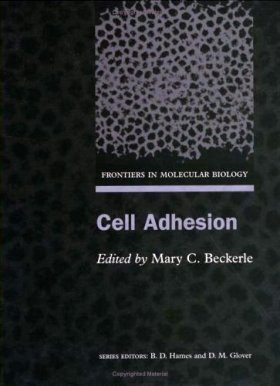 Cell Adhesion