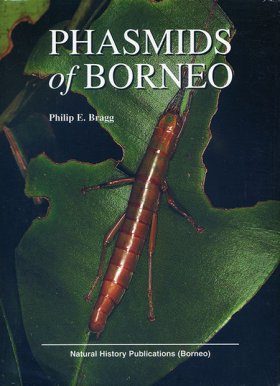 Phasmids of Borneo