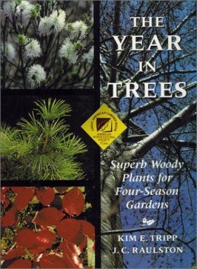 The Year in Trees