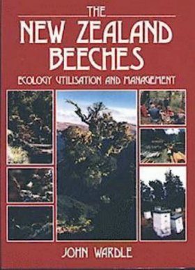 The New Zealand Beeches
