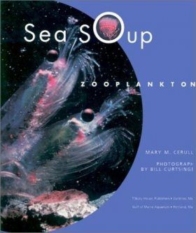 Sea Soup: Zooplankton