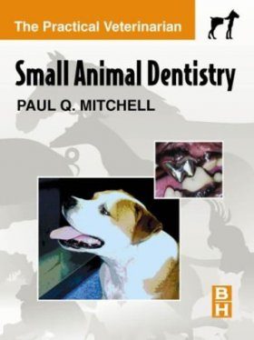 Small Animal Dentistry