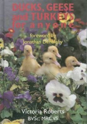 Ducks, Geese and Turkeys for Anyone