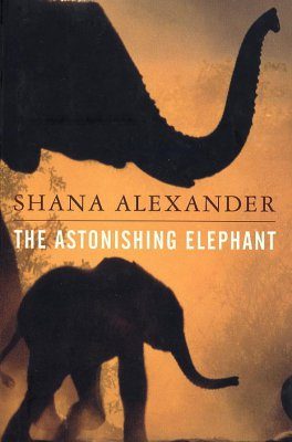 The Astonishing Elephant