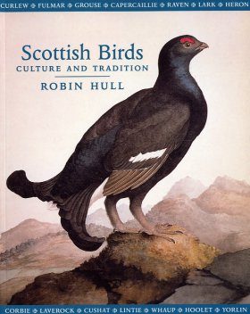Scottish Birds