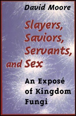 Slayers, Saviors, Servants, and Sex