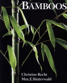 Bamboos