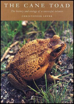 The Cane Toad