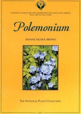 Polemonium