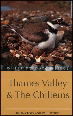 Where to Watch Birds in Thames Valley and the Chilterns