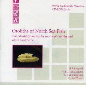 Otoliths of North Sea Fish