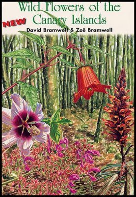 Wild Flowers of the Canary Islands