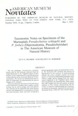 Taxonomic Notes on Specimens of the Marsupials Pseudocheirus Schlegelii and P.forbesi (Diprotodontia, Pseudocheiridae) in the American Museum