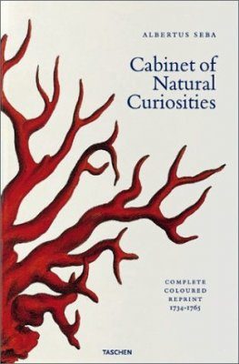 Cabinet of Natural Curiosities